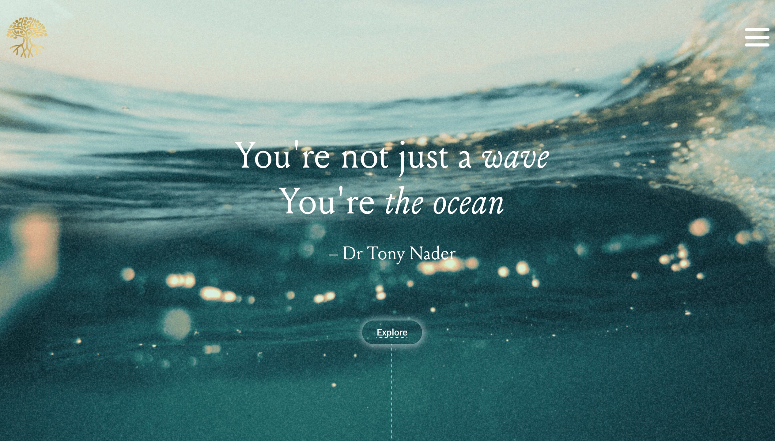 There is problem with the image